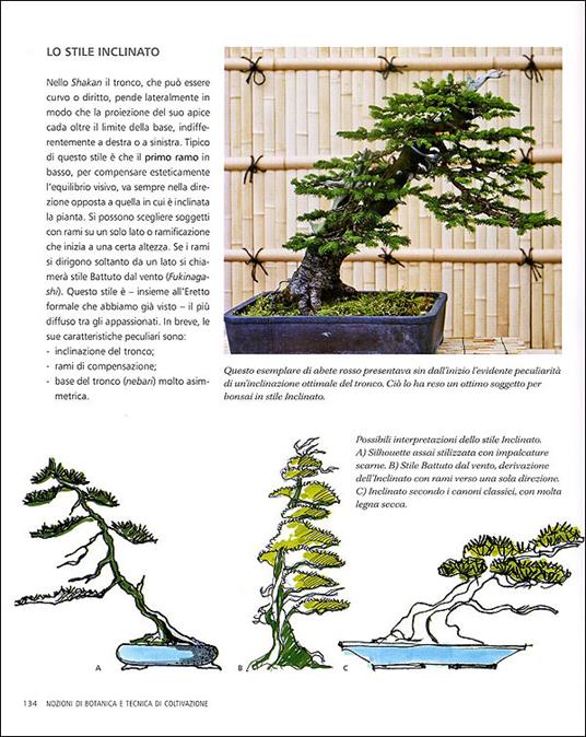 L' arte del bonsai. Storia, estetica, tecniche e segreti di coltivazione - Antonio Ricchiari - 2