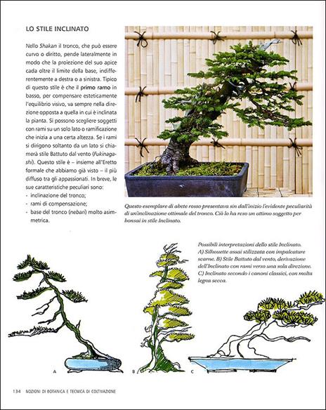 L' arte del bonsai. Storia, estetica, tecniche e segreti di coltivazione - Antonio Ricchiari - 4