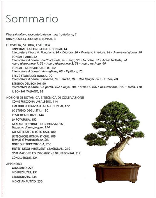 L' arte del bonsai. Storia, estetica, tecniche e segreti di coltivazione - Antonio Ricchiari - 5