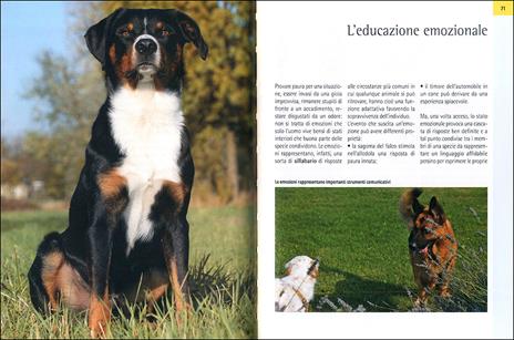 Il galateo per il cane. Manuale di educazione sociale per una buona convivenza - Roberto Marchesini - 2