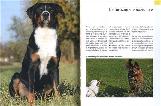 Il galateo per il cane. Manuale di educazione sociale per una buona convivenza - Roberto Marchesini - 4