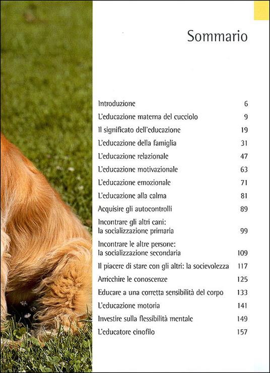 Il galateo per il cane. Manuale di educazione sociale per una buona convivenza - Roberto Marchesini - 5