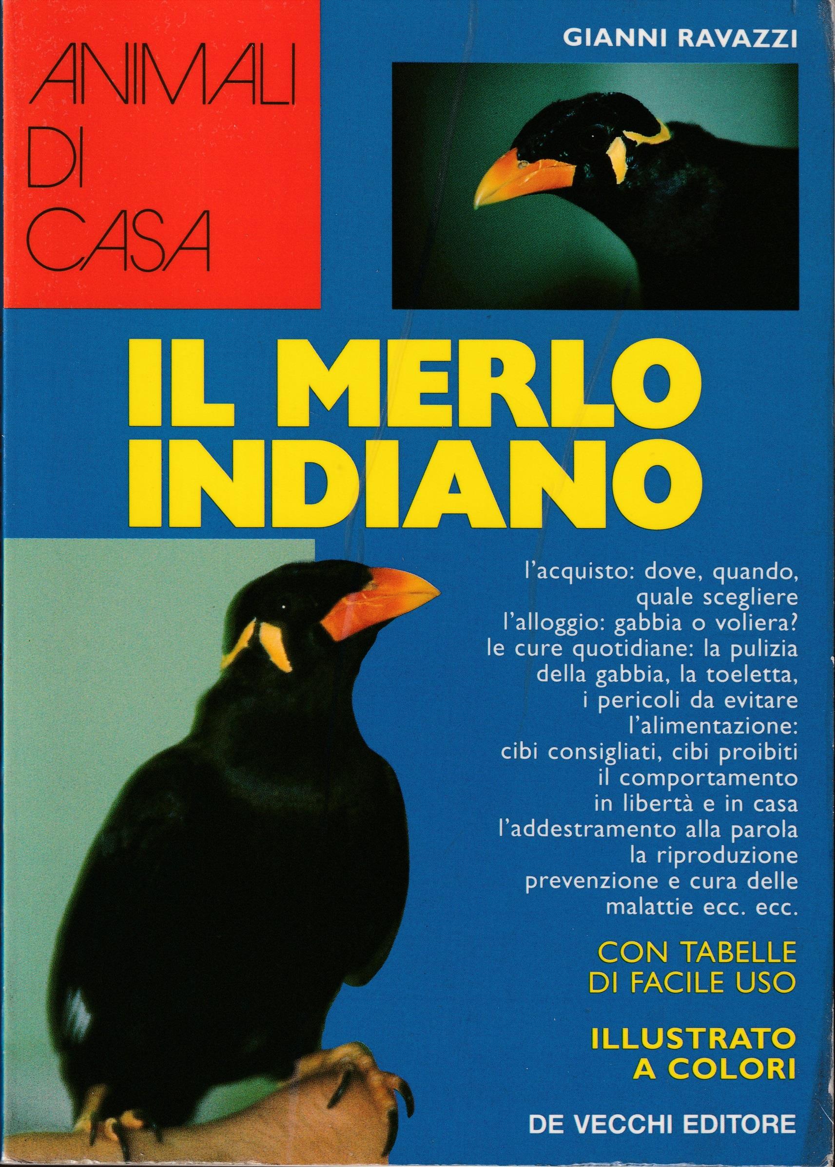 Il merlo indiano