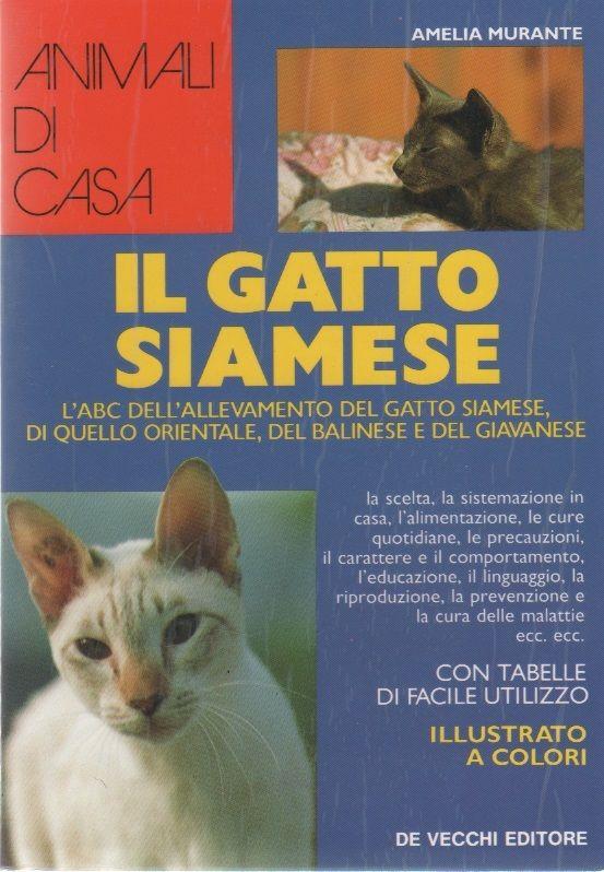 Libreria Biblos di Costa Pierandrea