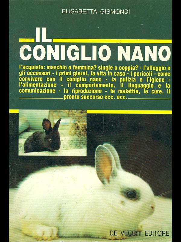Il coniglio nano