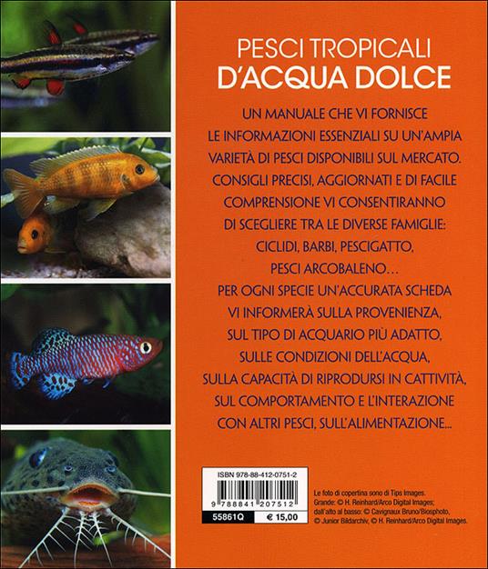 Pesci tropicali d'acqua dolce - 4