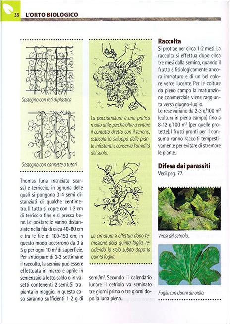 Orto e frutteto biologici. Guida completa per ottenere ortaggi e frutti sani e gustosi - 4