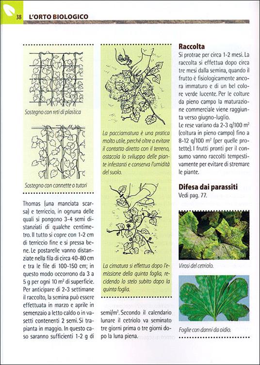 Orto e frutteto biologici. Guida completa per ottenere ortaggi e frutti sani e gustosi - 4