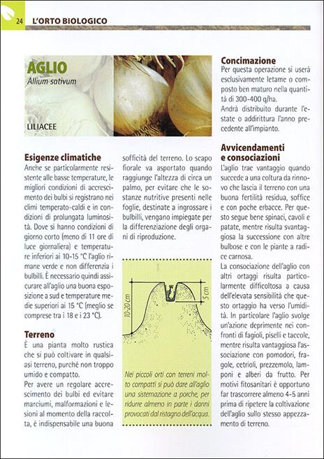 Orto e frutteto biologici. Guida completa per ottenere ortaggi e frutti sani e gustosi - 5