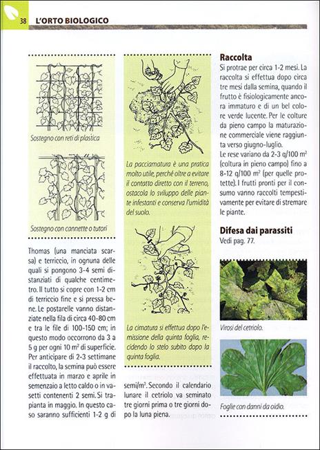 Orto e frutteto biologici. Guida completa per ottenere ortaggi e frutti sani e gustosi - 10