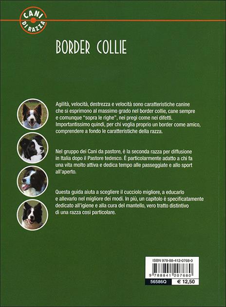 Border collie - Valeria Rossi - 5