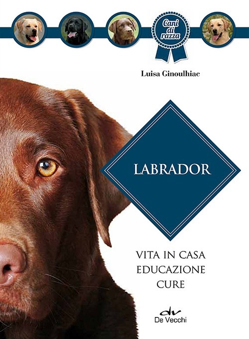 Libreria Imagine's Book