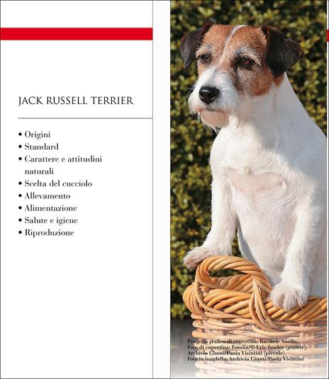Jack Russel terrier. Vita in casa, educazione, cure - Gianfranco Bauchal,Roberto Vincenzi - 2