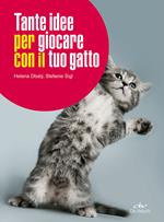 Tante idee per giocare con il tuo gatto