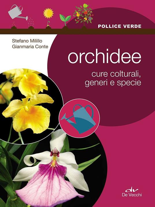 Orchidee. Cure colturali, generi e specie - Stefano Milillo,Gianmaria Conte - 5