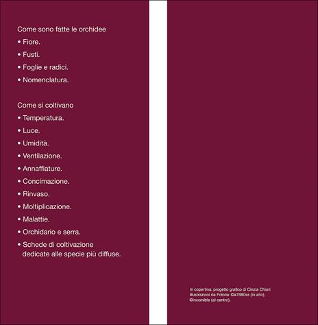 Orchidee. Cure colturali, generi e specie - Stefano Milillo,Gianmaria Conte - 3