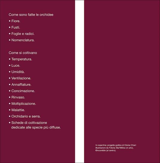 Orchidee. Cure colturali, generi e specie - Stefano Milillo,Gianmaria Conte - 3