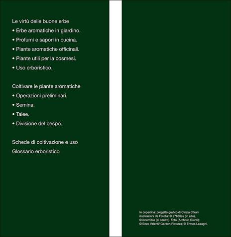 Piante aromatiche e medicinali in giardino e in vaso - 3