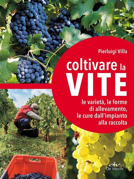 Coltivare la vite. Le varietà, le forme di allevamento, le cure dall'impianto alla raccolta - Pierluigi Villa - copertina