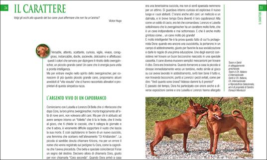 Pinscher. Ediz. illustrata - Antonella Tomaselli - 5