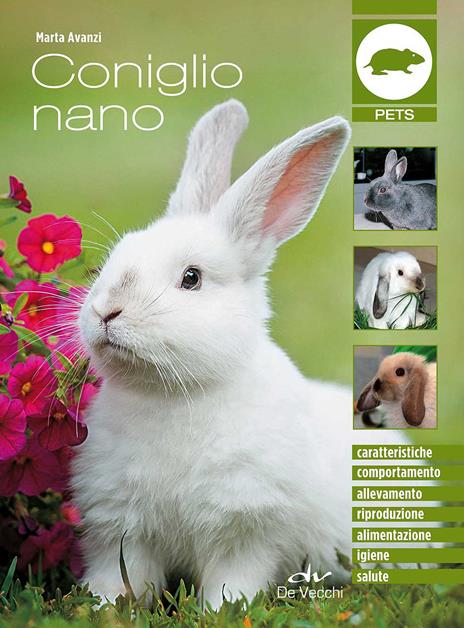 Coniglio nano - Marta Avanzi - copertina