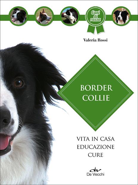 Border collie - Valeria Rossi - copertina