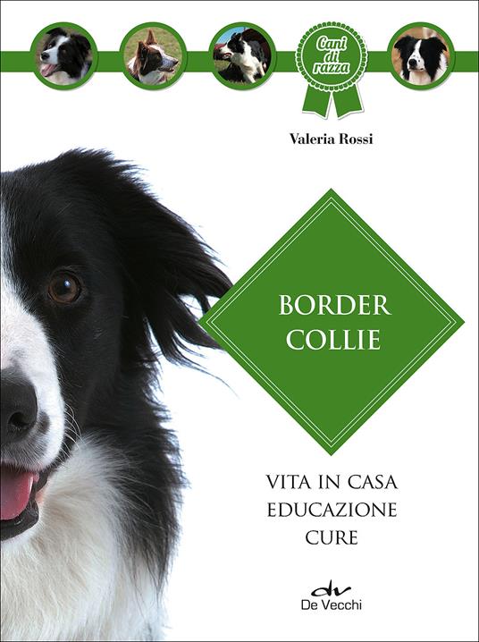 Border collie - Valeria Rossi - copertina