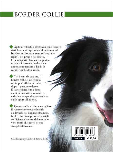 Border collie - Valeria Rossi - 4