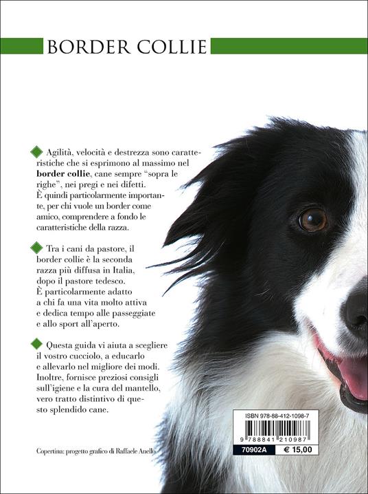 Border collie - Valeria Rossi - 4