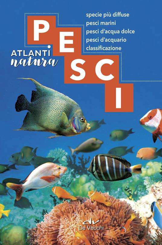 Pesci. Specie più diffuse, pesci marini, pesci d'acqua dolce, pesci d'acquario, classificazione - Cesare Conci,Menico Torchio - copertina