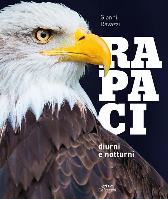 Rapaci diurni e notturni - Gianni Ravazzi - copertina