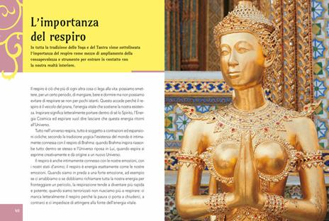 Meditazione. La riscoperta dell'armonia - Paola Bertoldi - 5