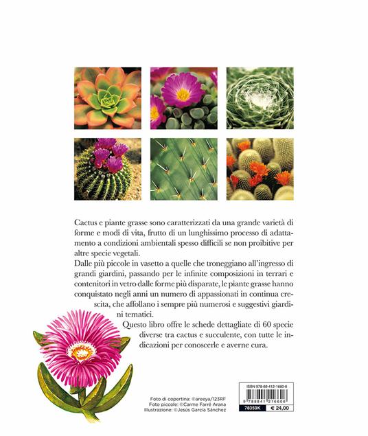 Il grande libro dei cactus e delle piante grasse - Carme Arana Farré - 2