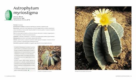 Il grande libro dei cactus e delle piante grasse - Carme Arana Farré - 5