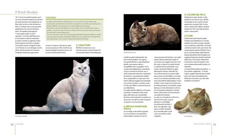 Il grande libro dei gatti - Milena Band Brunetti - 5