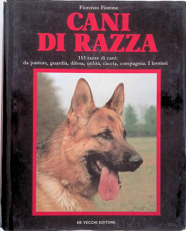 Folignolibri
