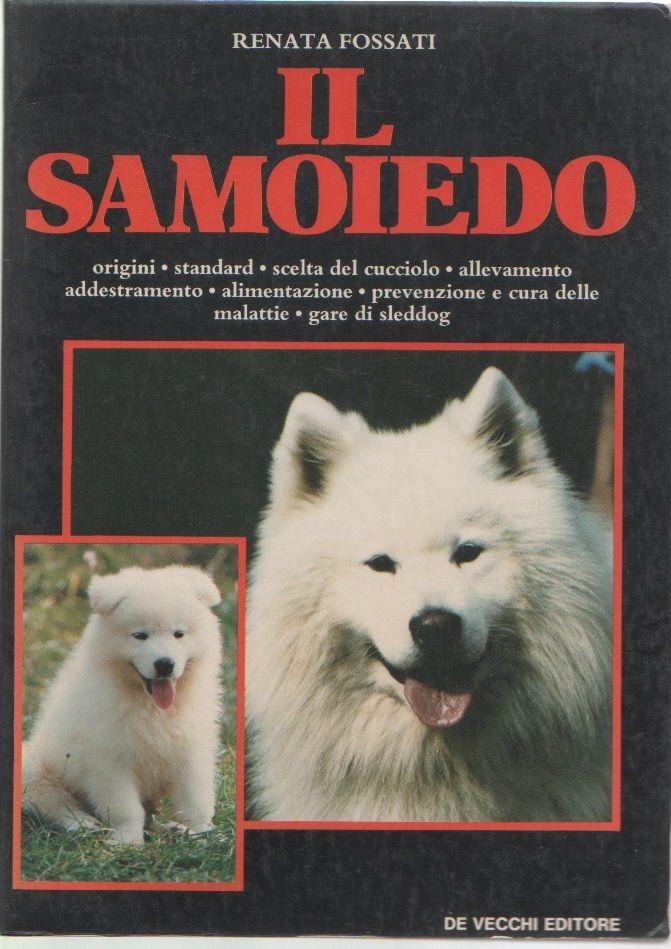 Libreria Biblos di Costa Pierandrea