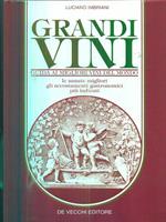 Grandi vini. Guida ai migliori vini del mondo