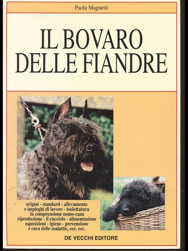 Il bovaro delle Fiandre