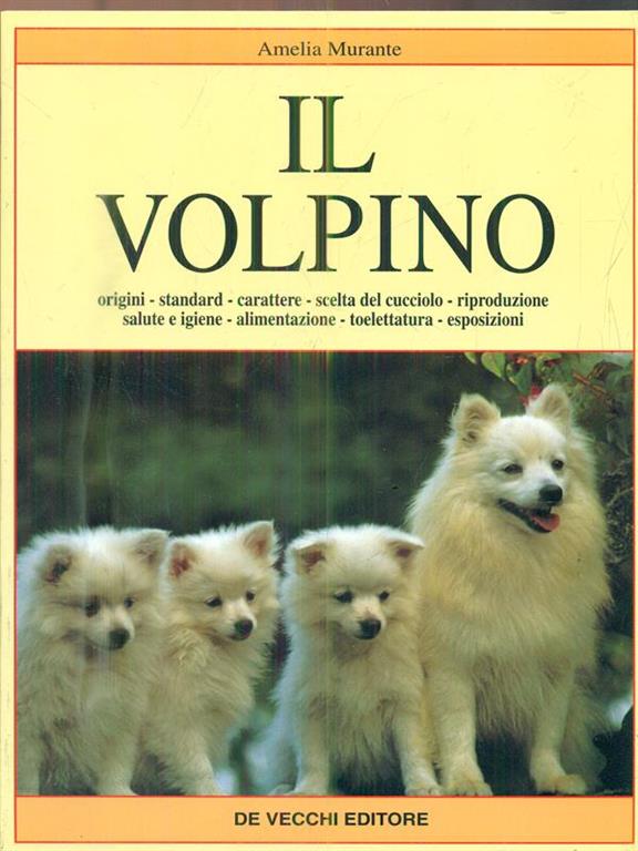 Sbinario nove e 3/4