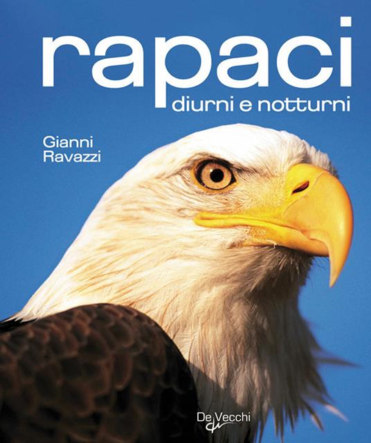 Rapaci diurni e notturni - Gianni Ravazzi - ebook