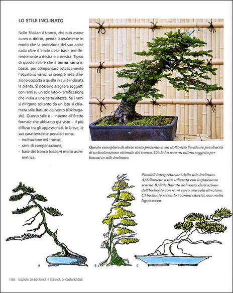 L' arte del bonsai. Storia, estetica, tecniche e segreti di coltivazione - Antonio Ricchiari - ebook - 2