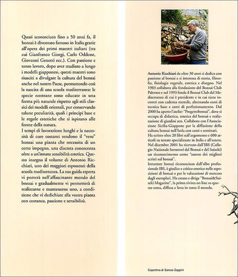 L' arte del bonsai. Storia, estetica, tecniche e segreti di coltivazione - Antonio Ricchiari - ebook - 6