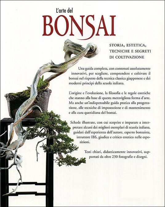 L' arte del bonsai. Storia, estetica, tecniche e segreti di coltivazione - Antonio Ricchiari - ebook - 7
