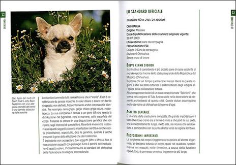 Chihuahua - Candida Pialorsi Falsina,Antonella Tomaselli - ebook - 3