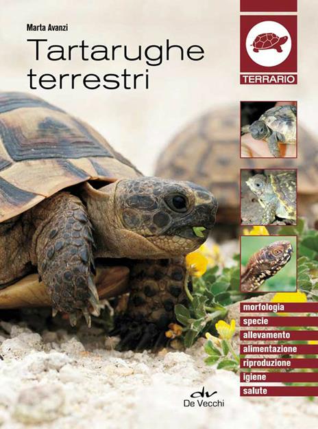 Tartarughe terrestri - Marta Avanzi - ebook