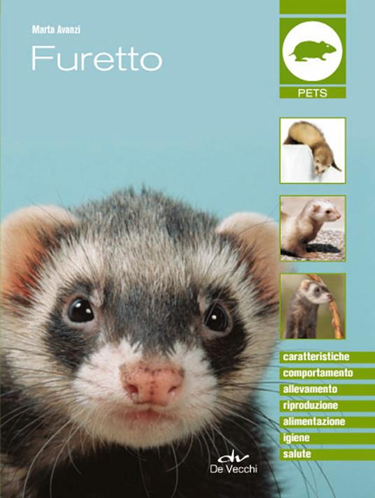 Furetto - Marta Avanzi - ebook