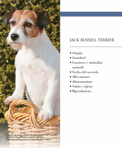 Jack Russel terrier. Vita in casa, educazione, cure - Gianfranco Bauchal,Roberto Vincenzi - 4