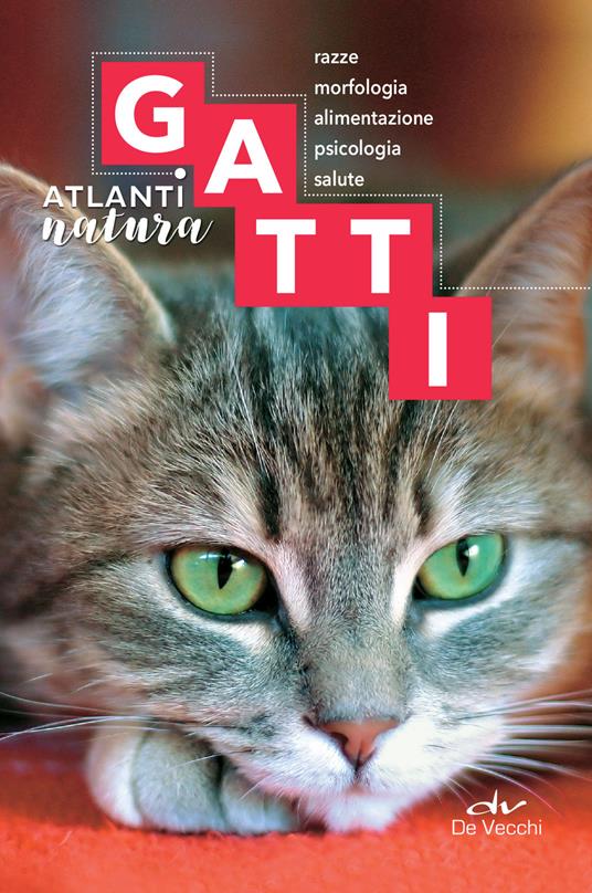 Gatti. Razze, morfologia, alimentazione. psicologia, salute - Silvana Franconeri - ebook