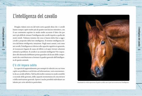 Nella mente del cavallo. Capire le sue emozioni, rispettare la sua intelligenza - Marlitt Wendt - 6